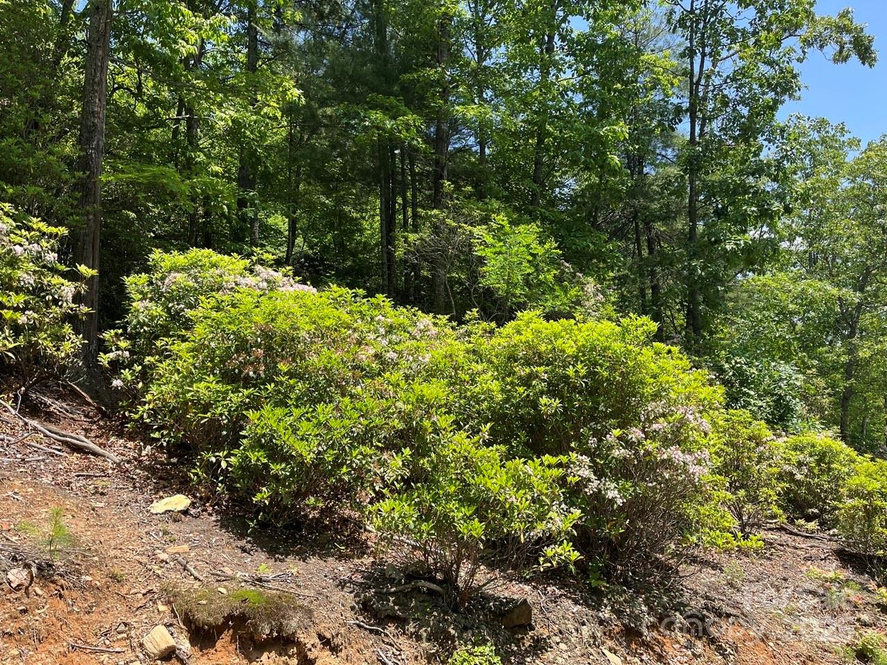 0000 Humpback Mountain Road Spruce Pine NC 28777