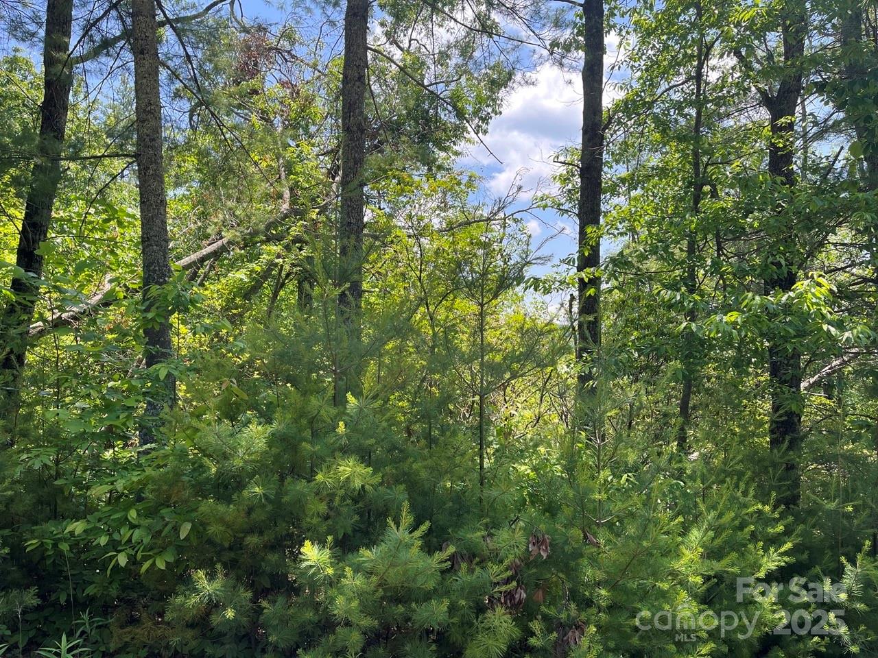 0000 Humpback Mountain Road Spruce Pine NC 28777