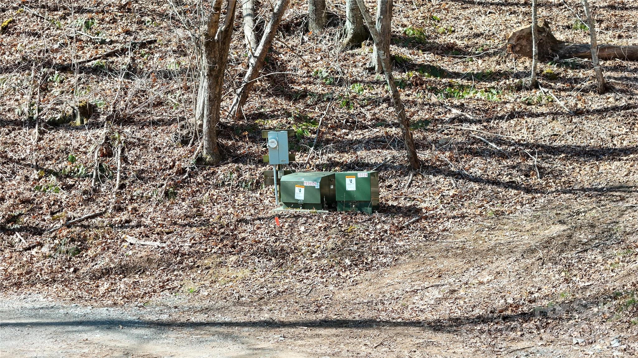 2 Roberts Mountain Road Clyde NC 28721