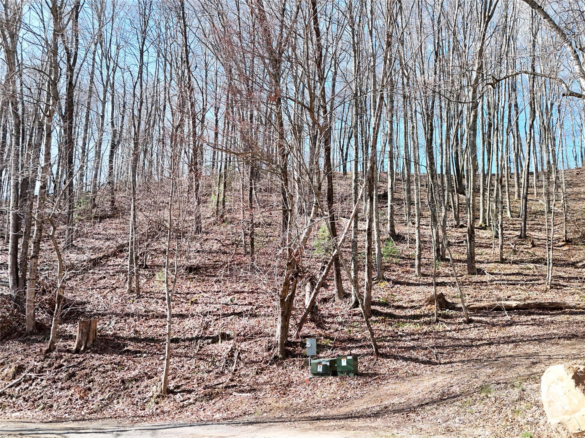 2 Roberts Mountain Road Clyde NC 28721
