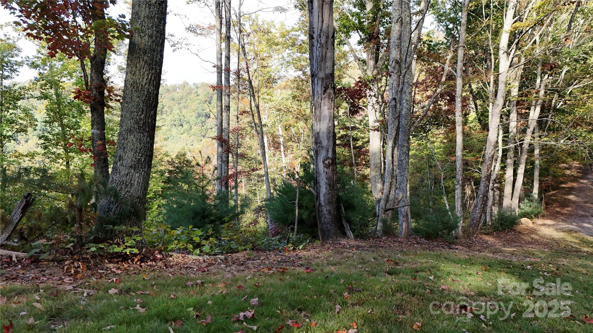 2 Roberts Mountain Road Clyde NC 28721