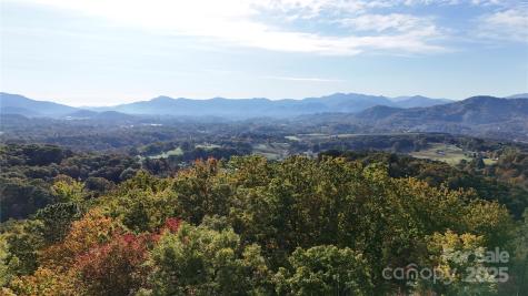 2 Roberts Mountain Road Clyde NC 28721
