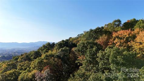 2 Roberts Mountain Road Clyde NC 28721
