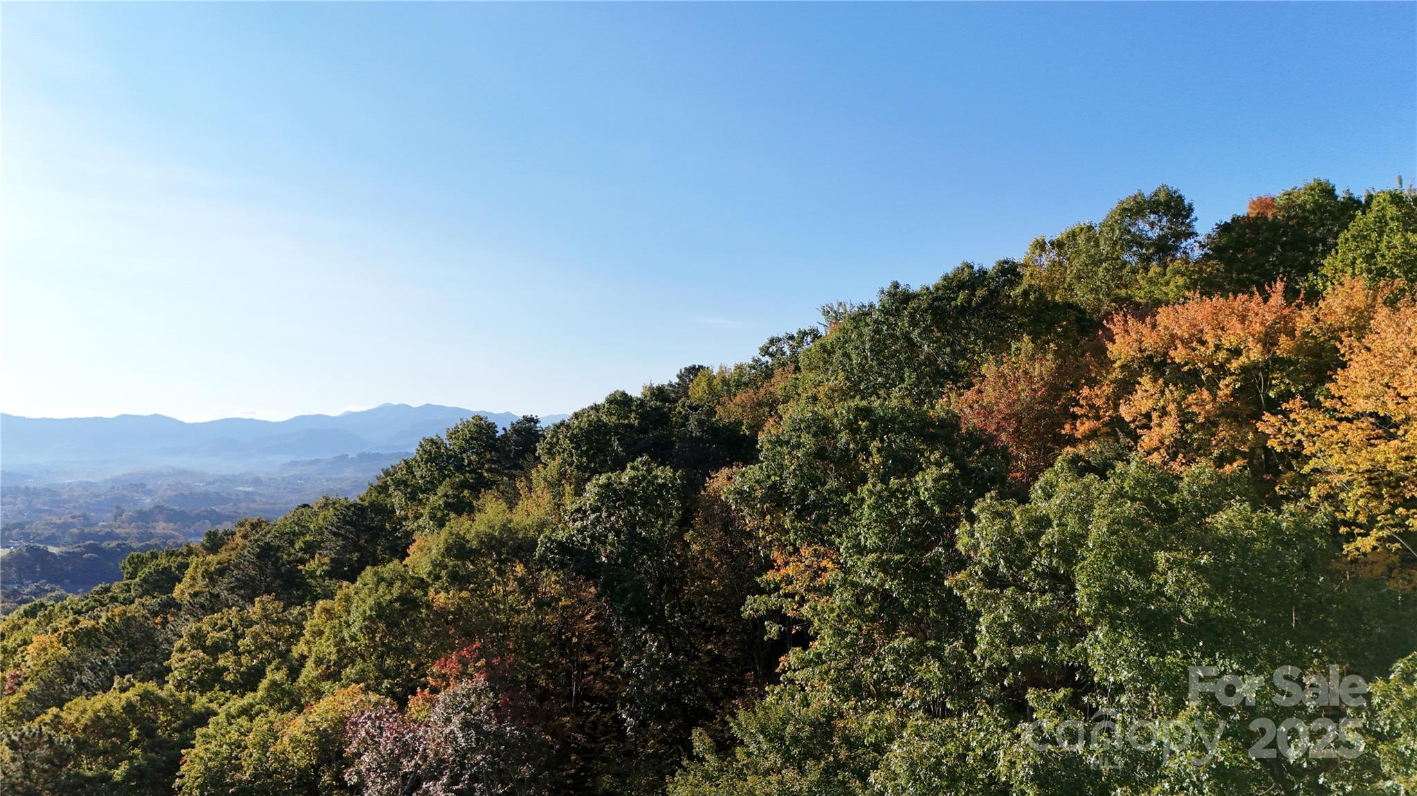 2 Roberts Mountain Road Clyde NC 28721