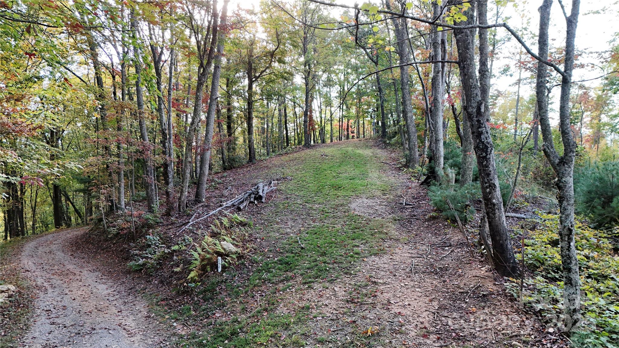 2 Roberts Mountain Road Clyde NC 28721