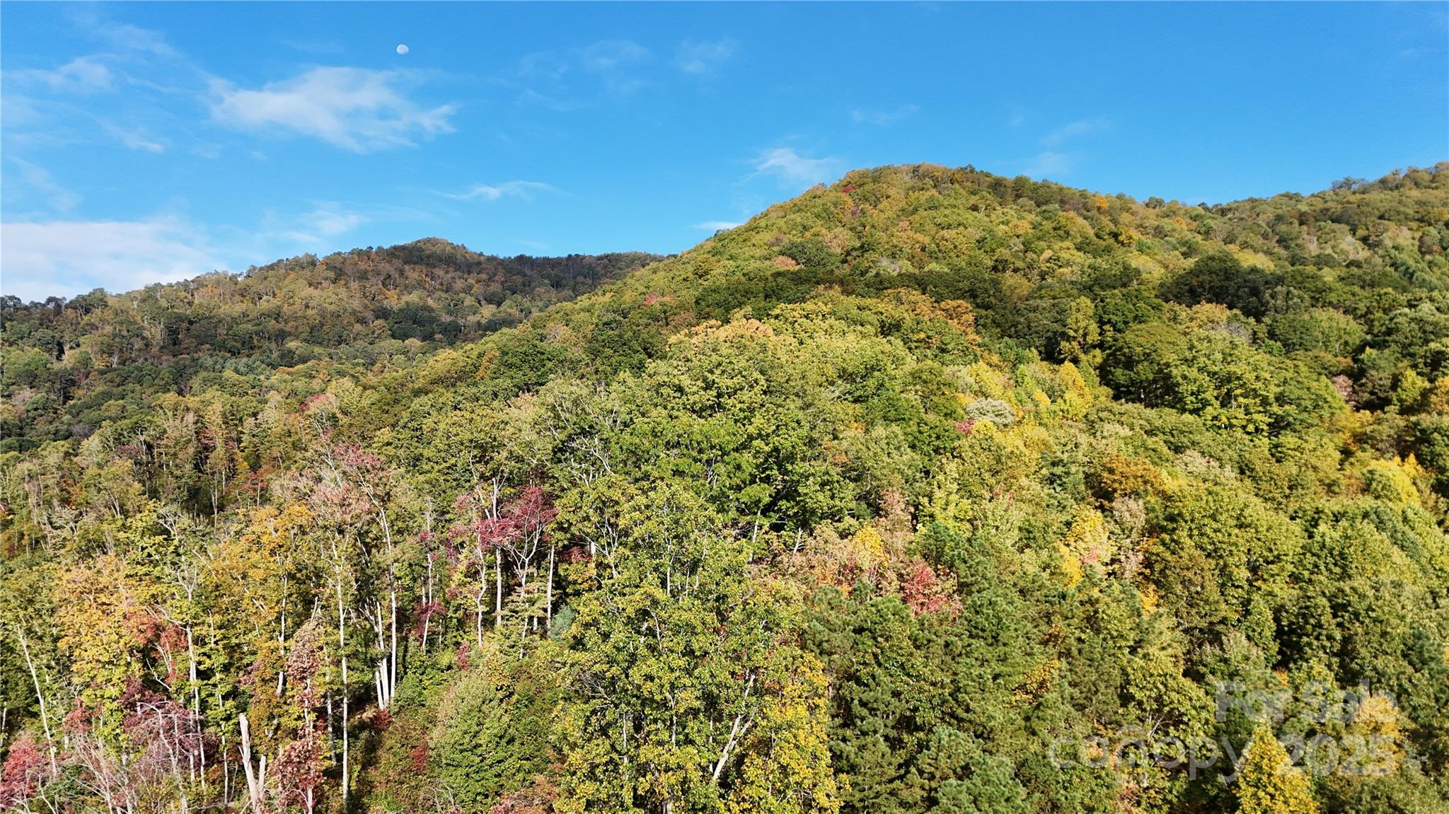2 Roberts Mountain Road Clyde NC 28721