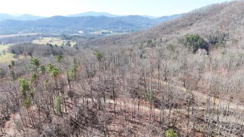 2 Roberts Mountain Road Clyde NC 28721