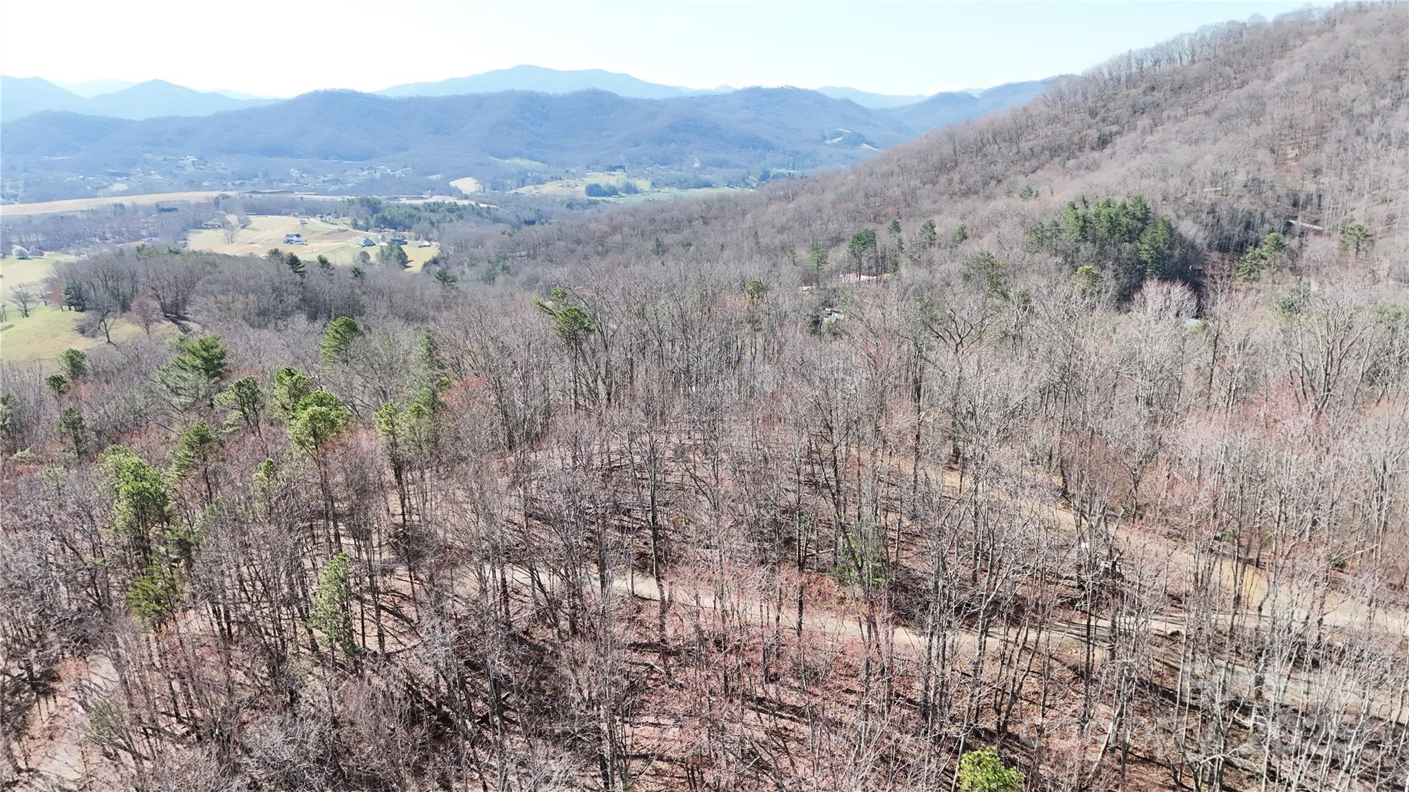 2 Roberts Mountain Road Clyde NC 28721