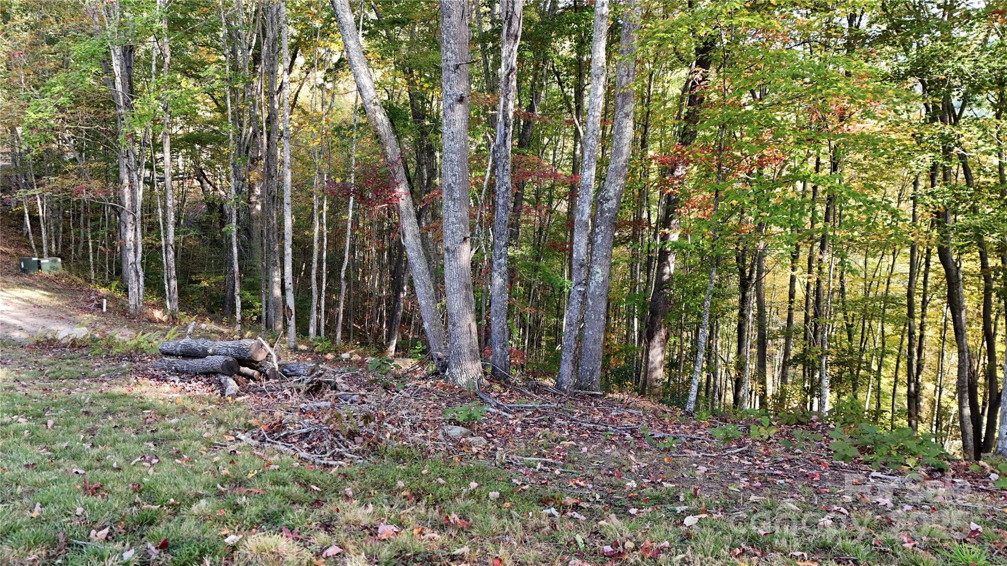 2 Roberts Mountain Road Clyde NC 28721