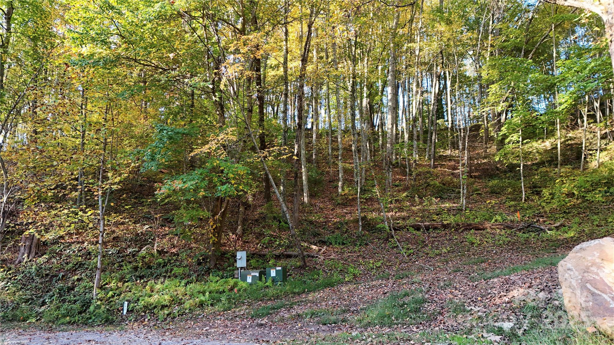 2 Roberts Mountain Road Clyde NC 28721