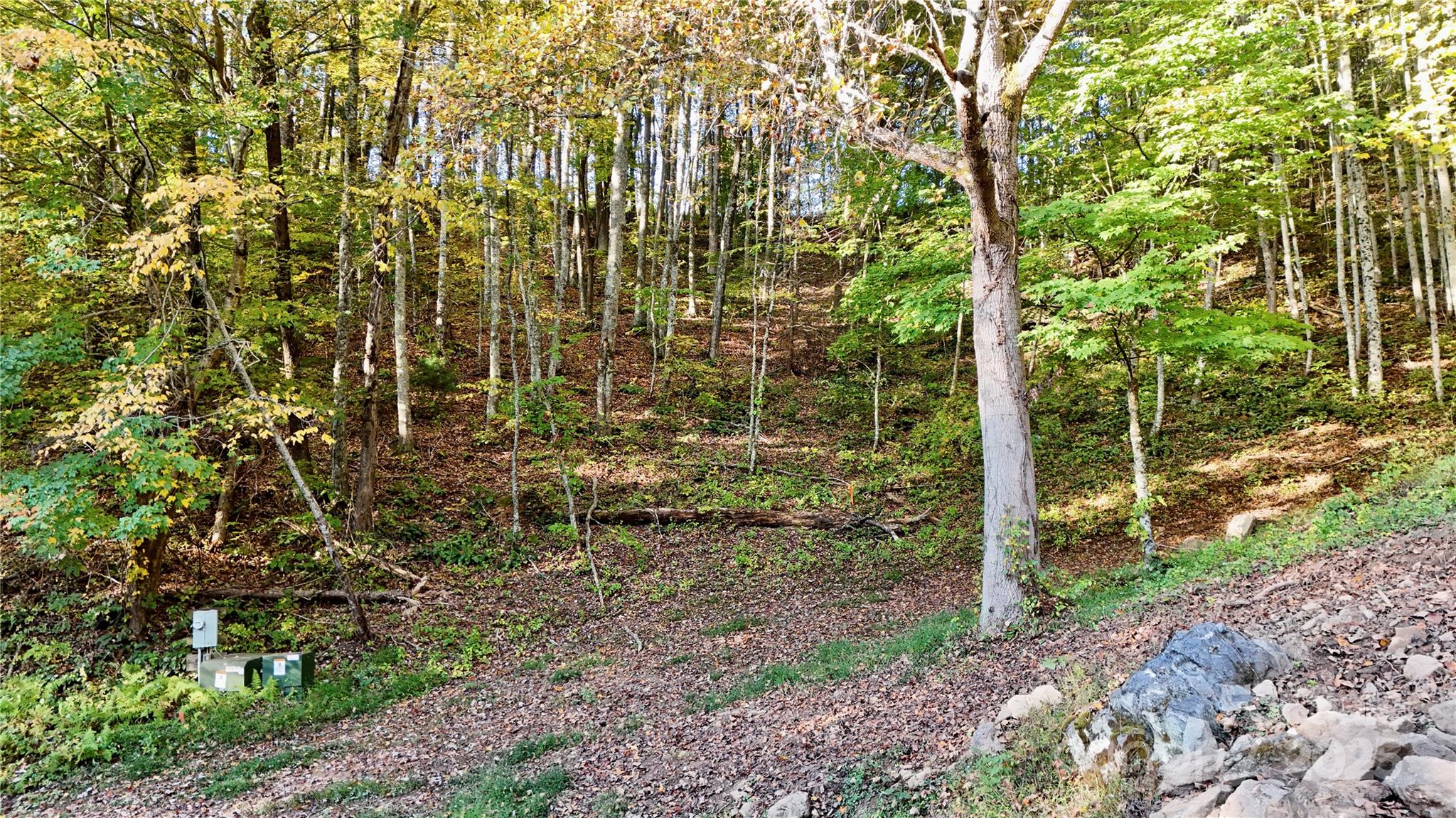 2 Roberts Mountain Road Clyde NC 28721