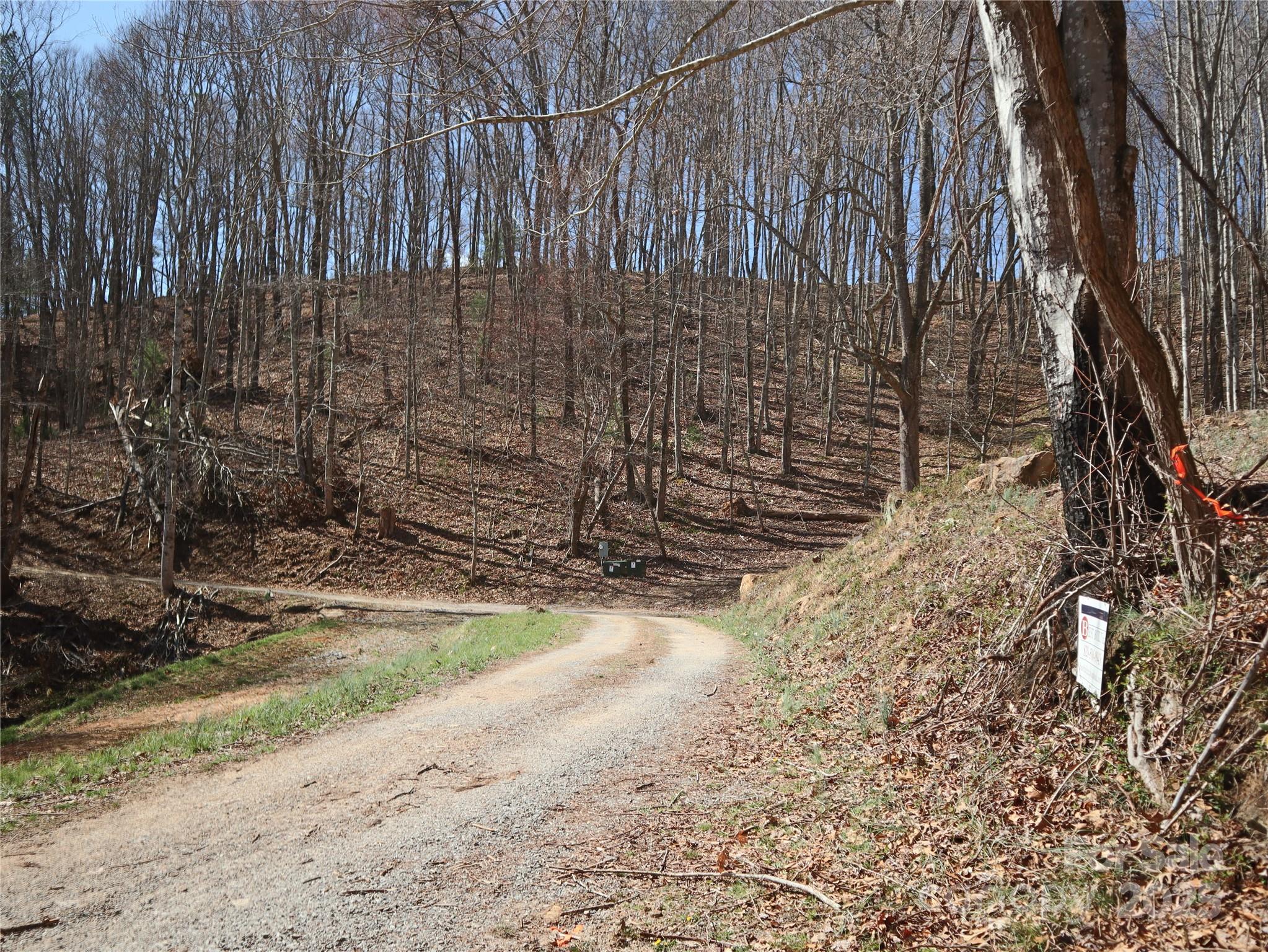 2 Roberts Mountain Road Clyde NC 28721