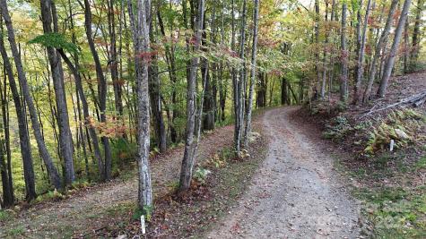 2 Roberts Mountain Road Clyde NC 28721
