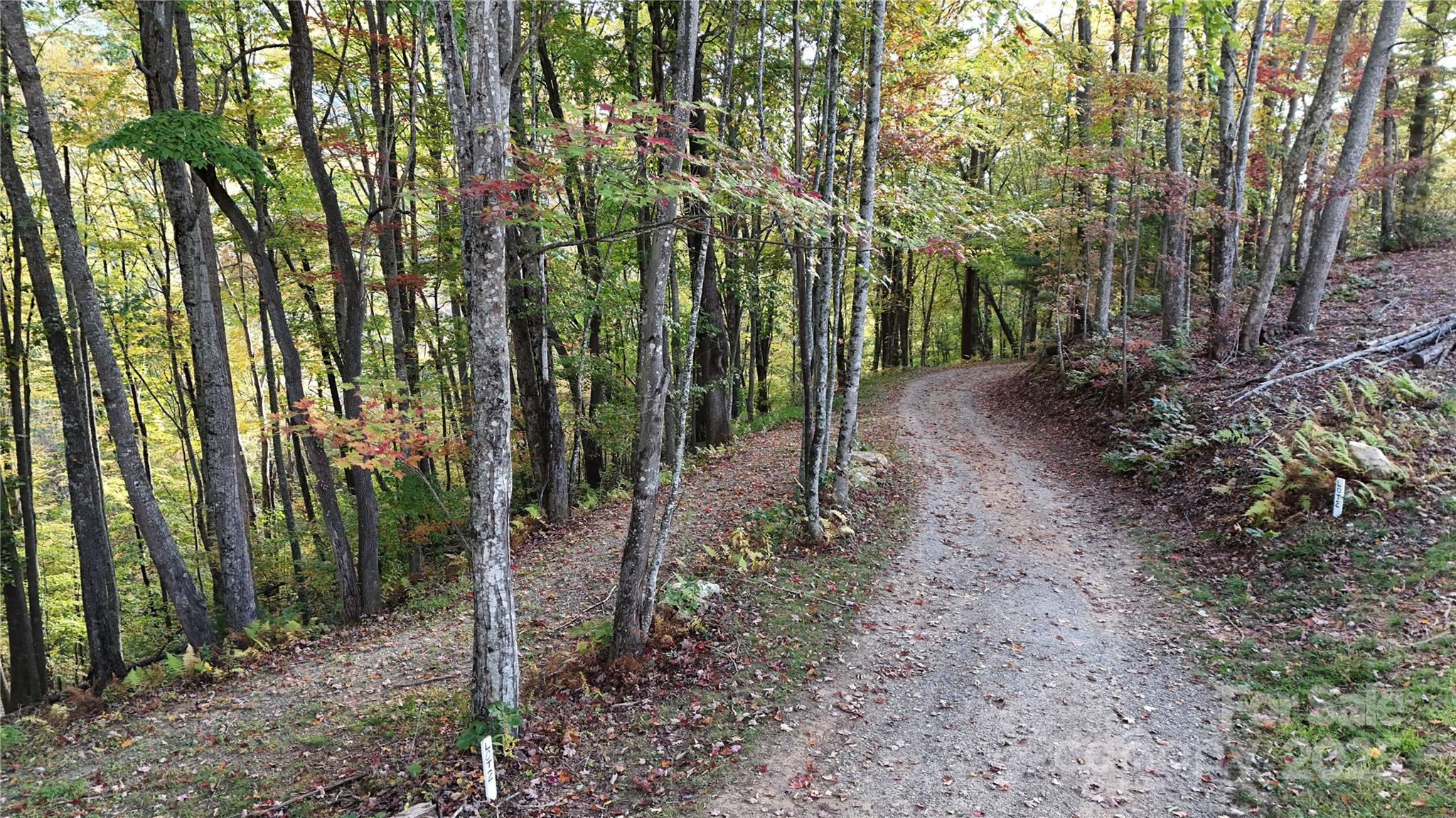 2 Roberts Mountain Road Clyde NC 28721