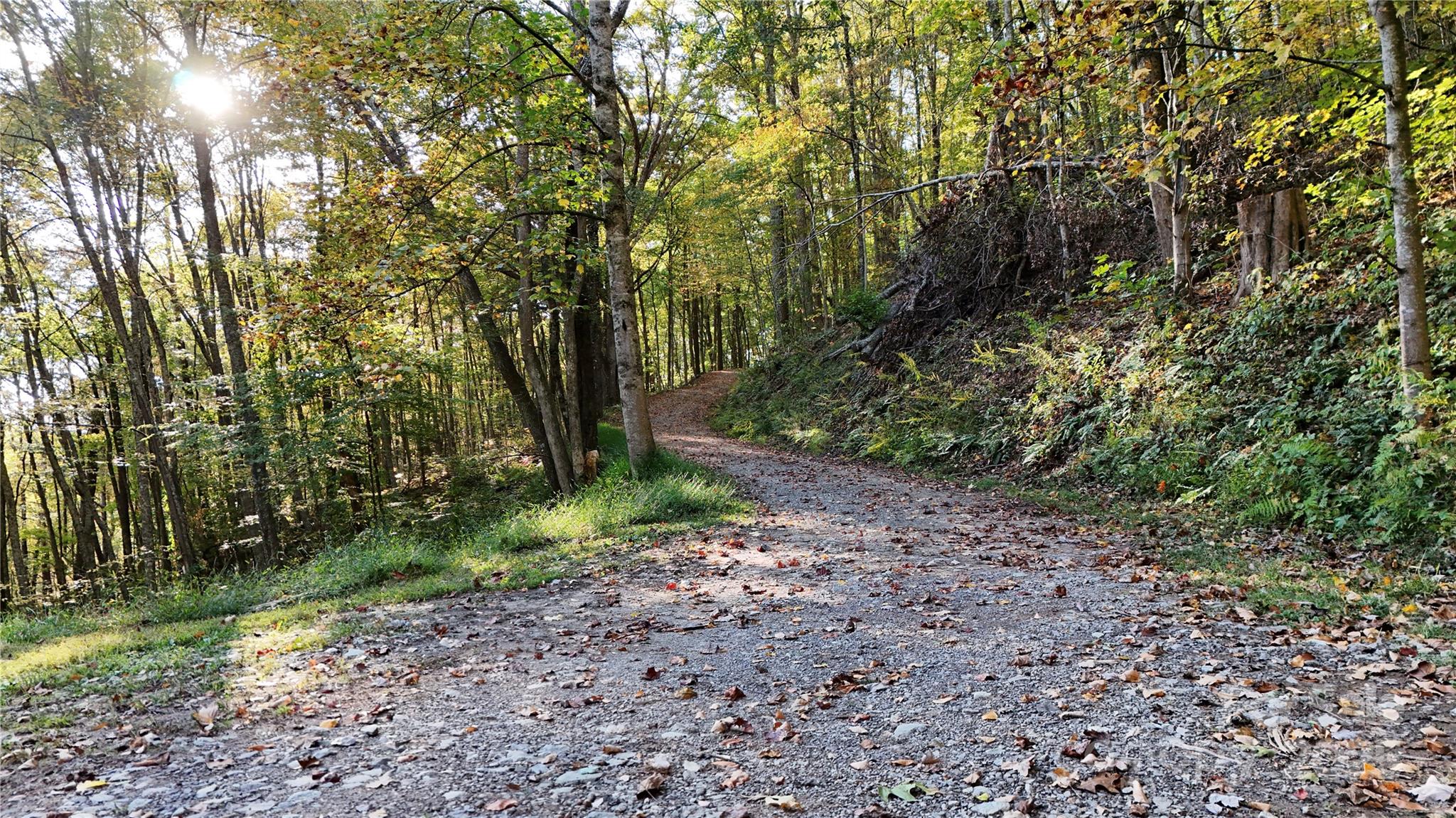 2 Roberts Mountain Road Clyde NC 28721