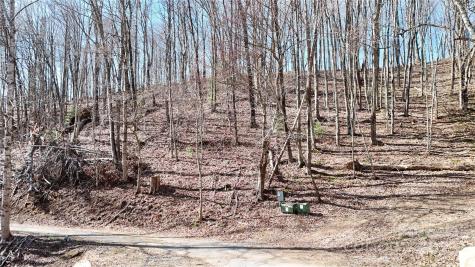 2 Roberts Mountain Road Clyde NC 28721