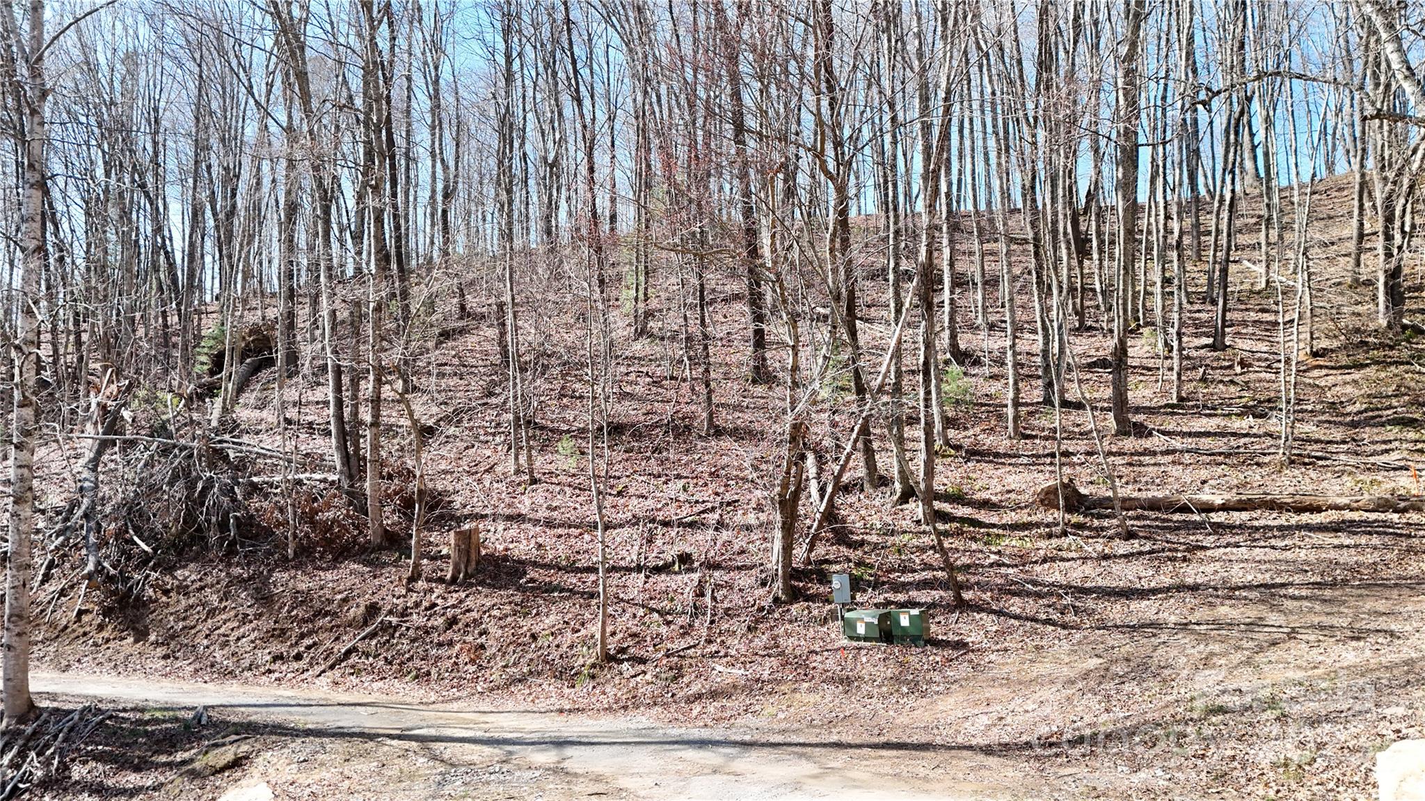 2 Roberts Mountain Road Clyde NC 28721