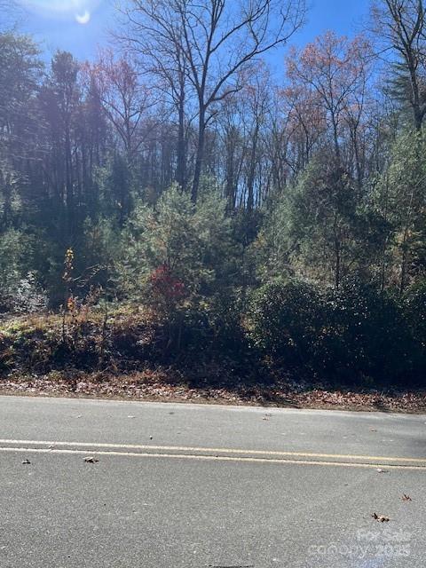 Tbd Kitchen Loop Road Lake Toxaway NC 28747