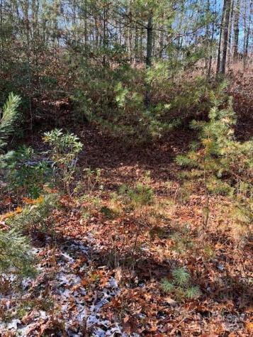 Tbd Kitchen Loop Road Lake Toxaway NC 28747
