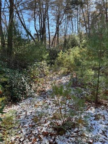 Tbd Kitchen Loop Road Lake Toxaway NC 28747