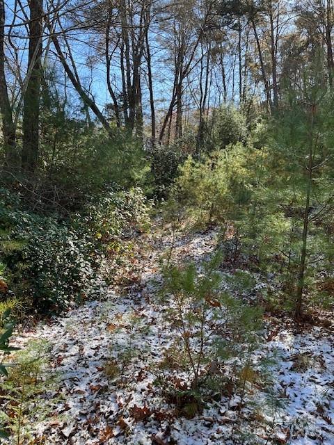 Tbd Kitchen Loop Road Lake Toxaway NC 28747