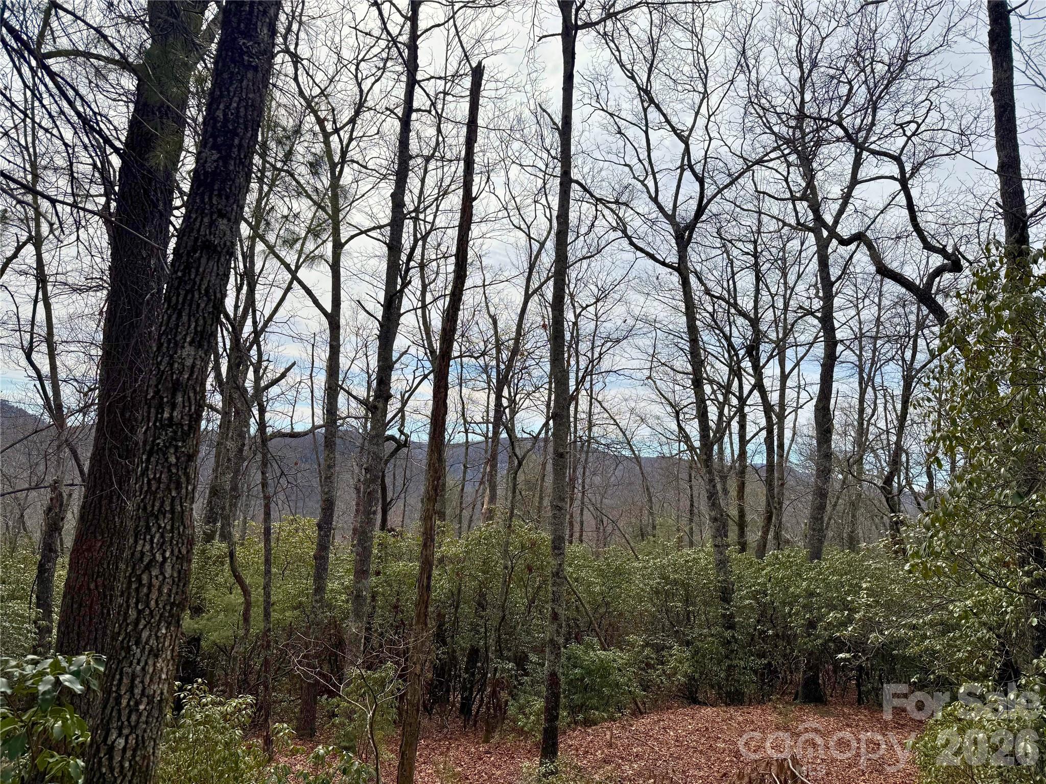 Tbd Laurel Thicket Lane Brevard NC 28712