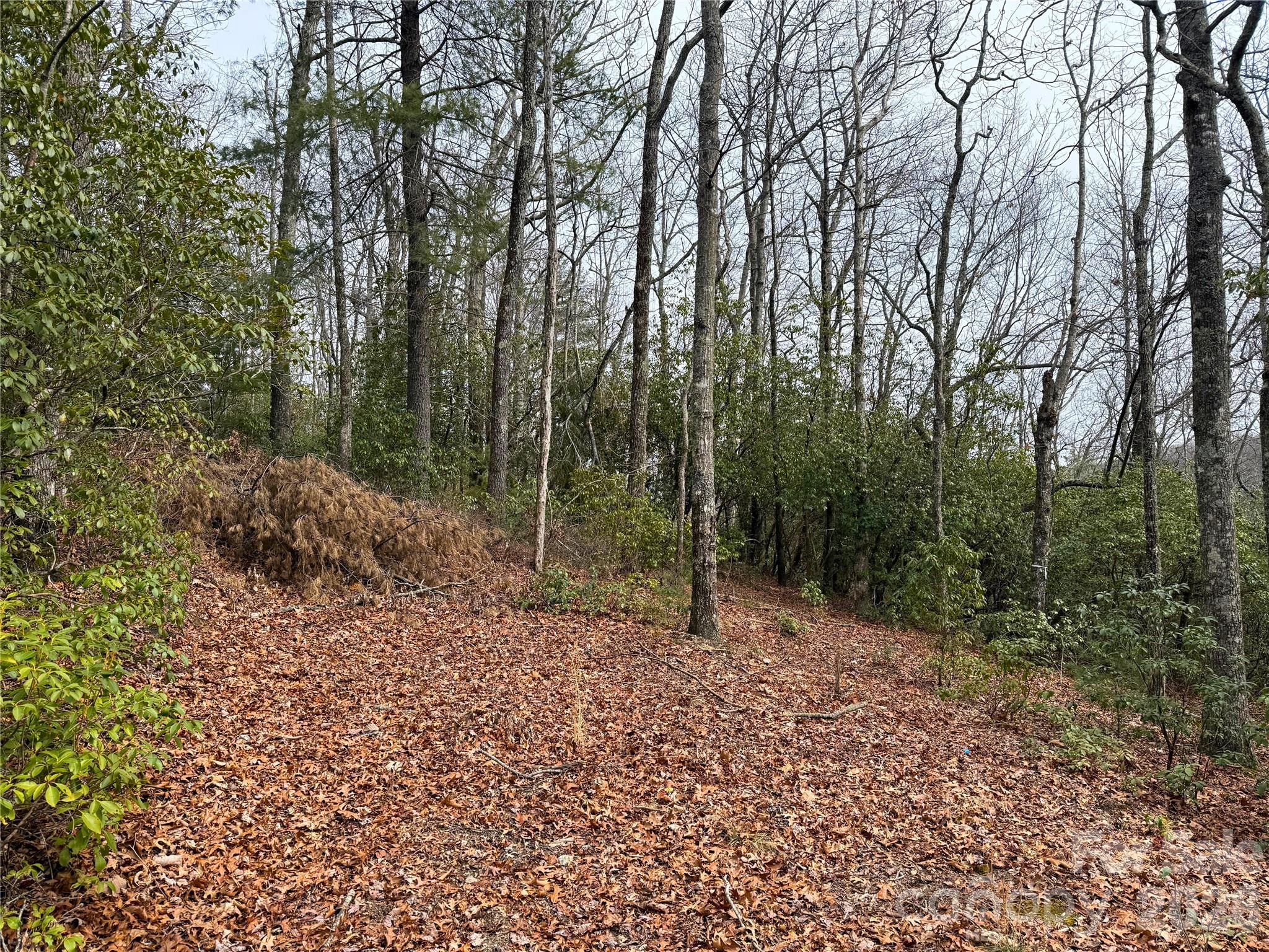 Tbd Laurel Thicket Lane Brevard NC 28712
