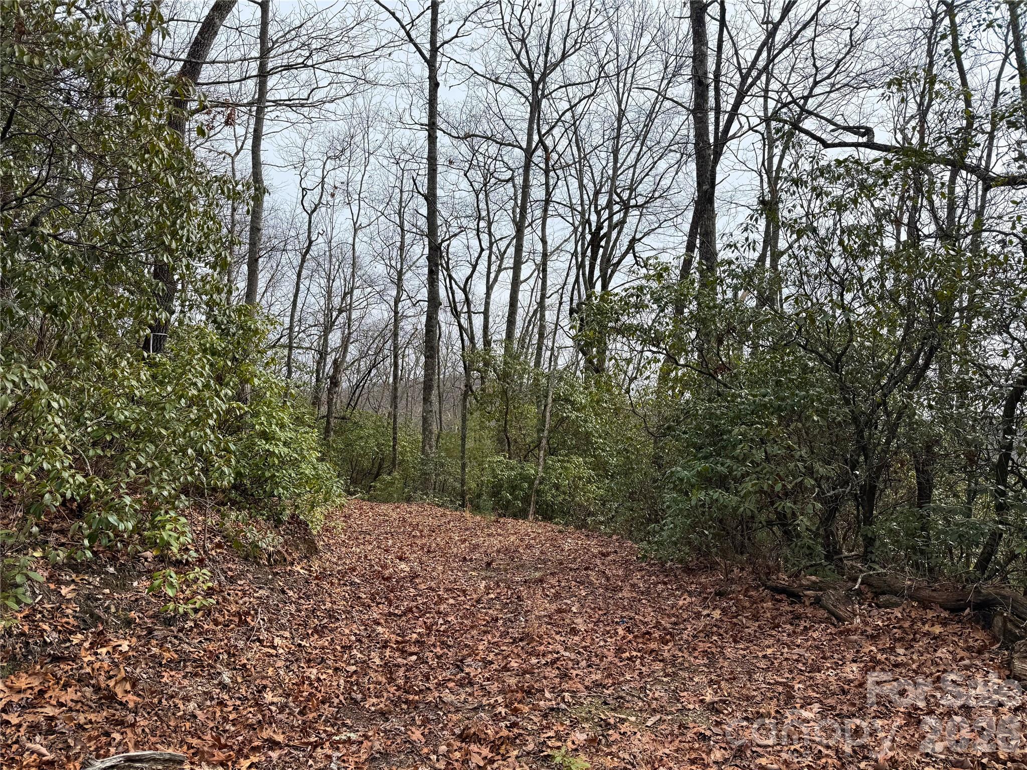 Tbd Laurel Thicket Lane Brevard NC 28712
