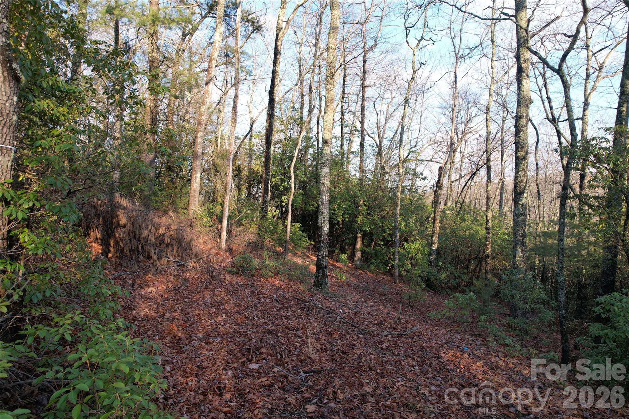 Tbd Laurel Thicket Lane Brevard NC 28712