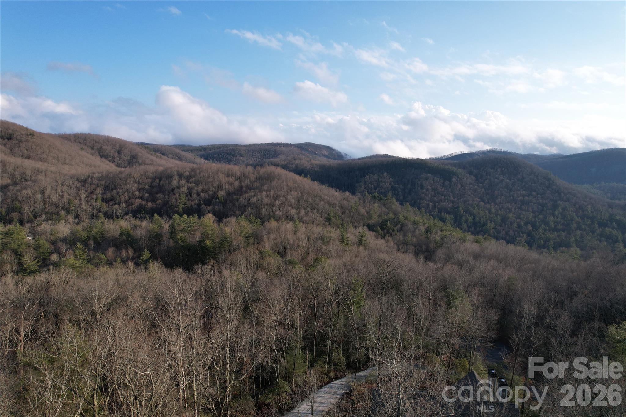 Tbd Laurel Thicket Lane Brevard NC 28712