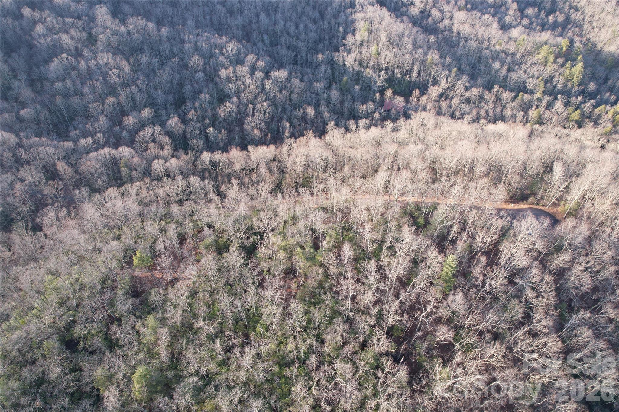 Tbd Laurel Thicket Lane Brevard NC 28712