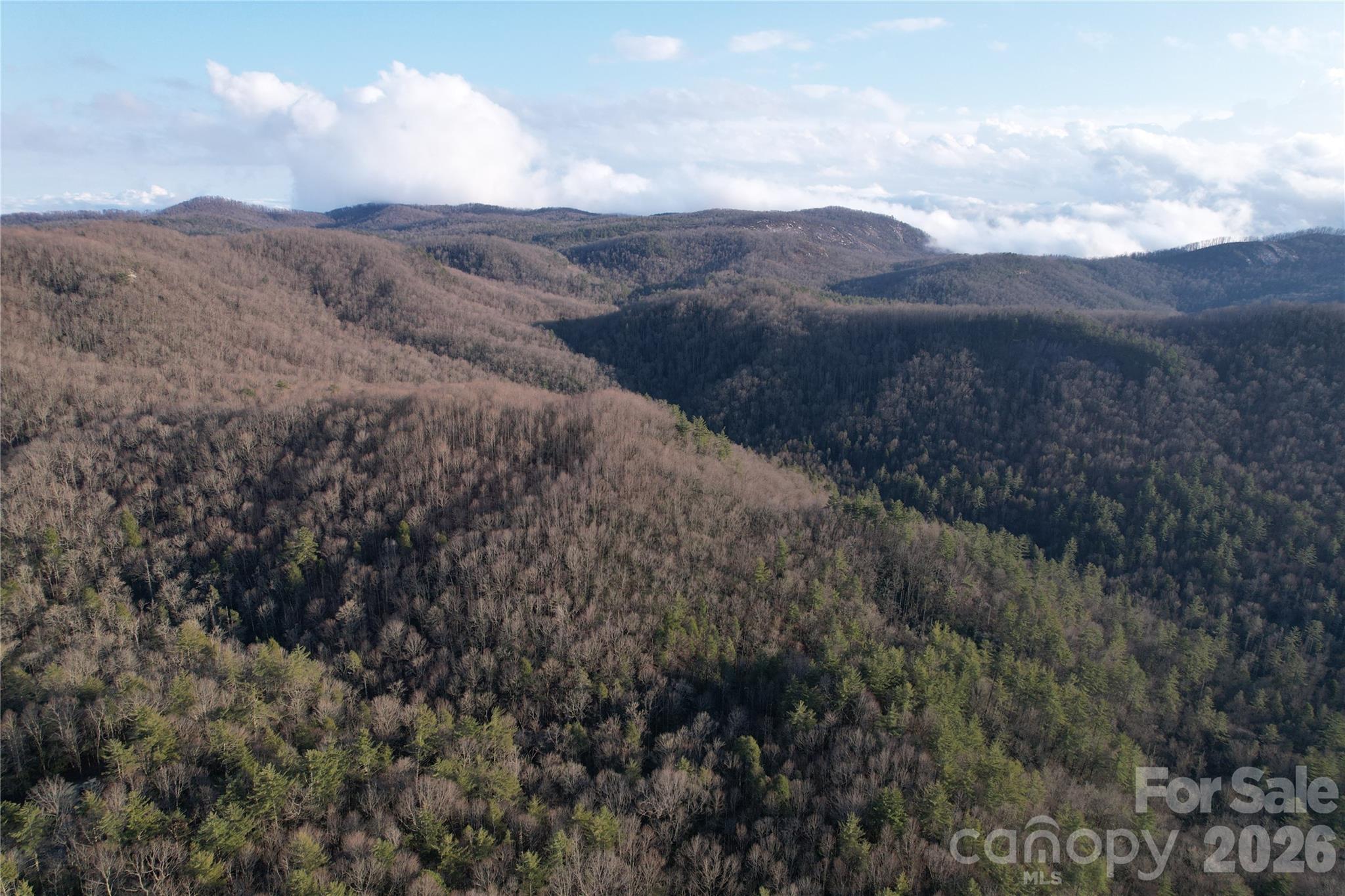 Tbd Laurel Thicket Lane Brevard NC 28712
