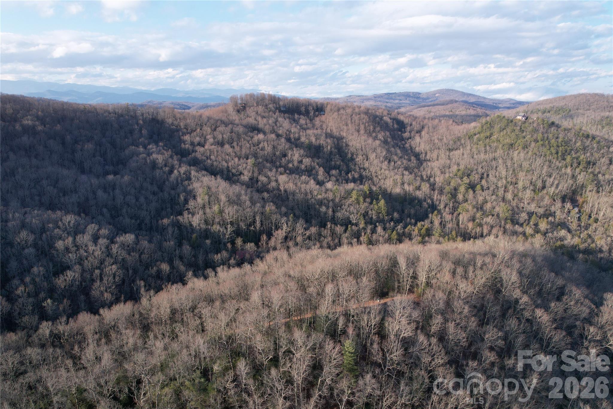 Tbd Laurel Thicket Lane Brevard NC 28712