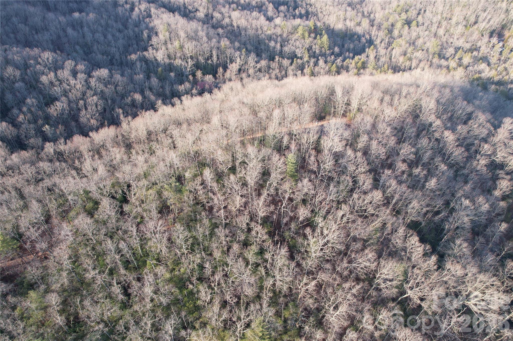 Tbd Laurel Thicket Lane Brevard NC 28712
