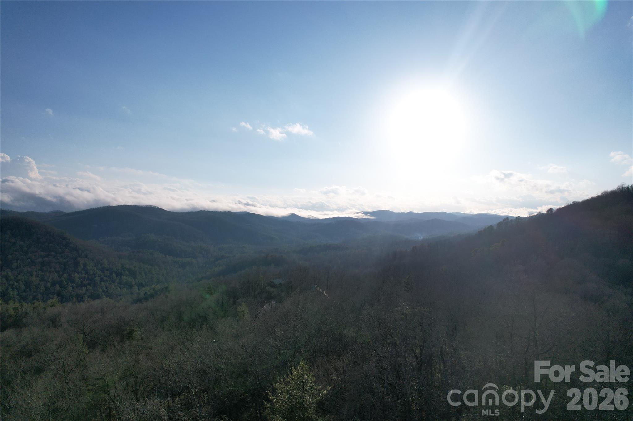 Tbd Laurel Thicket Lane Brevard NC 28712