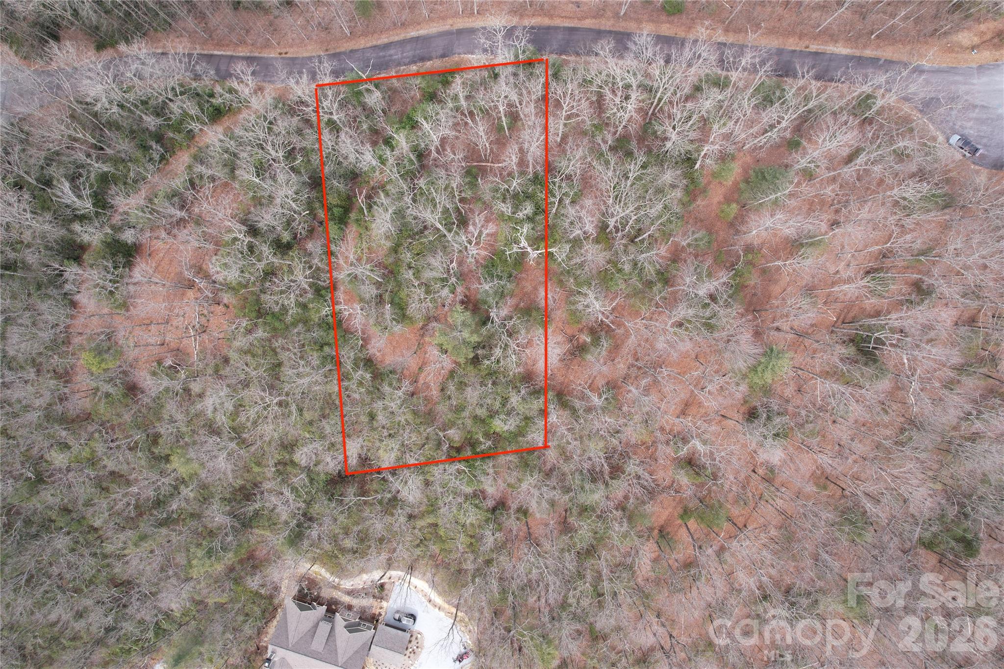 Tbd Laurel Thicket Lane Brevard NC 28712