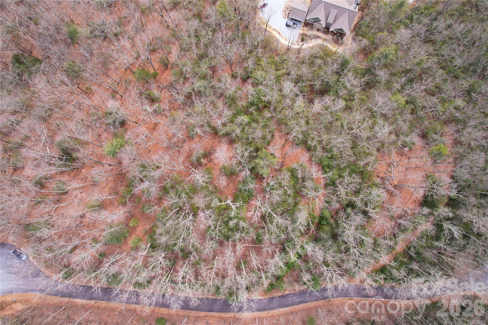Tbd Laurel Thicket Lane Brevard NC 28712