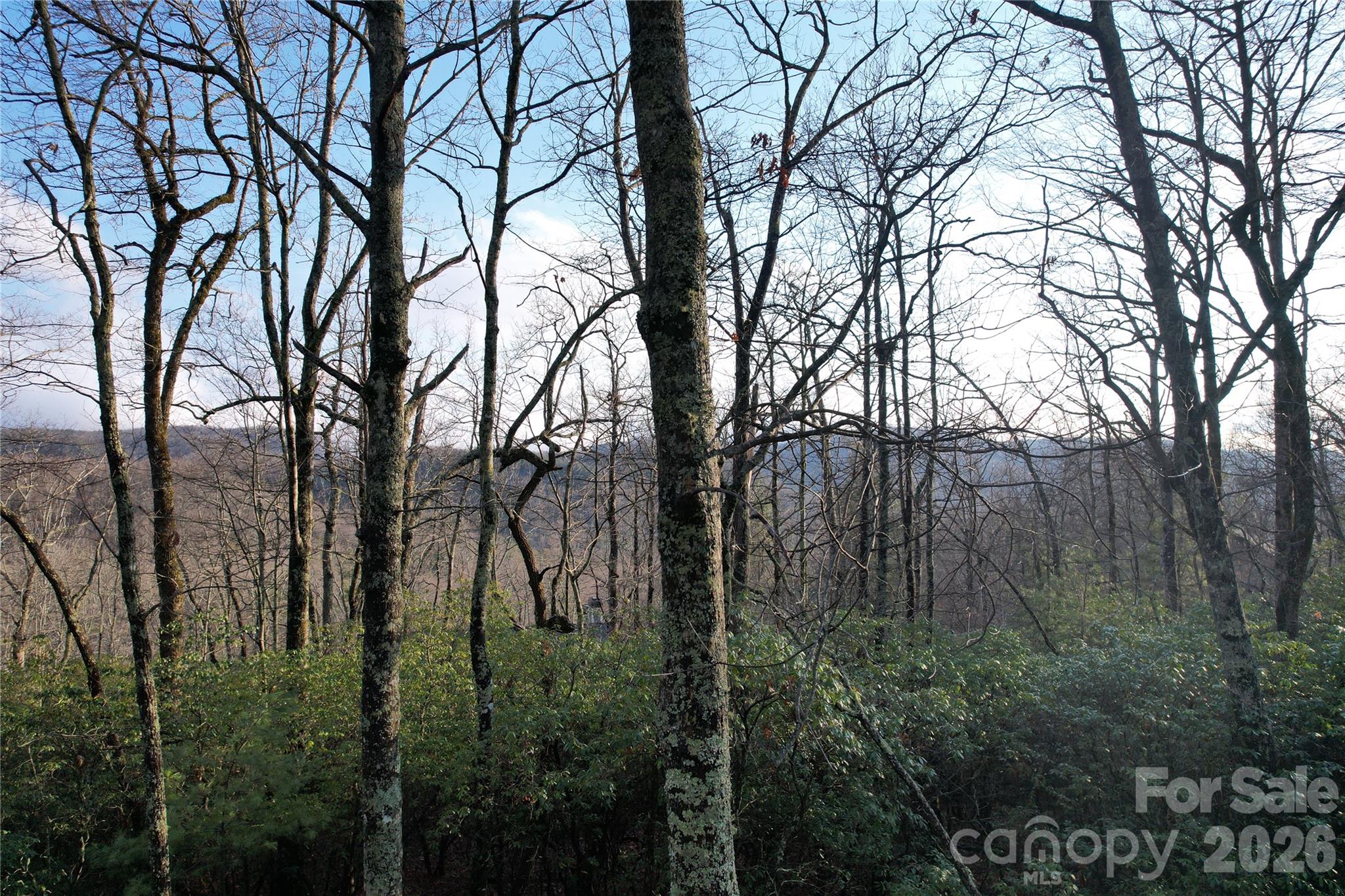 Tbd Laurel Thicket Lane Brevard NC 28712