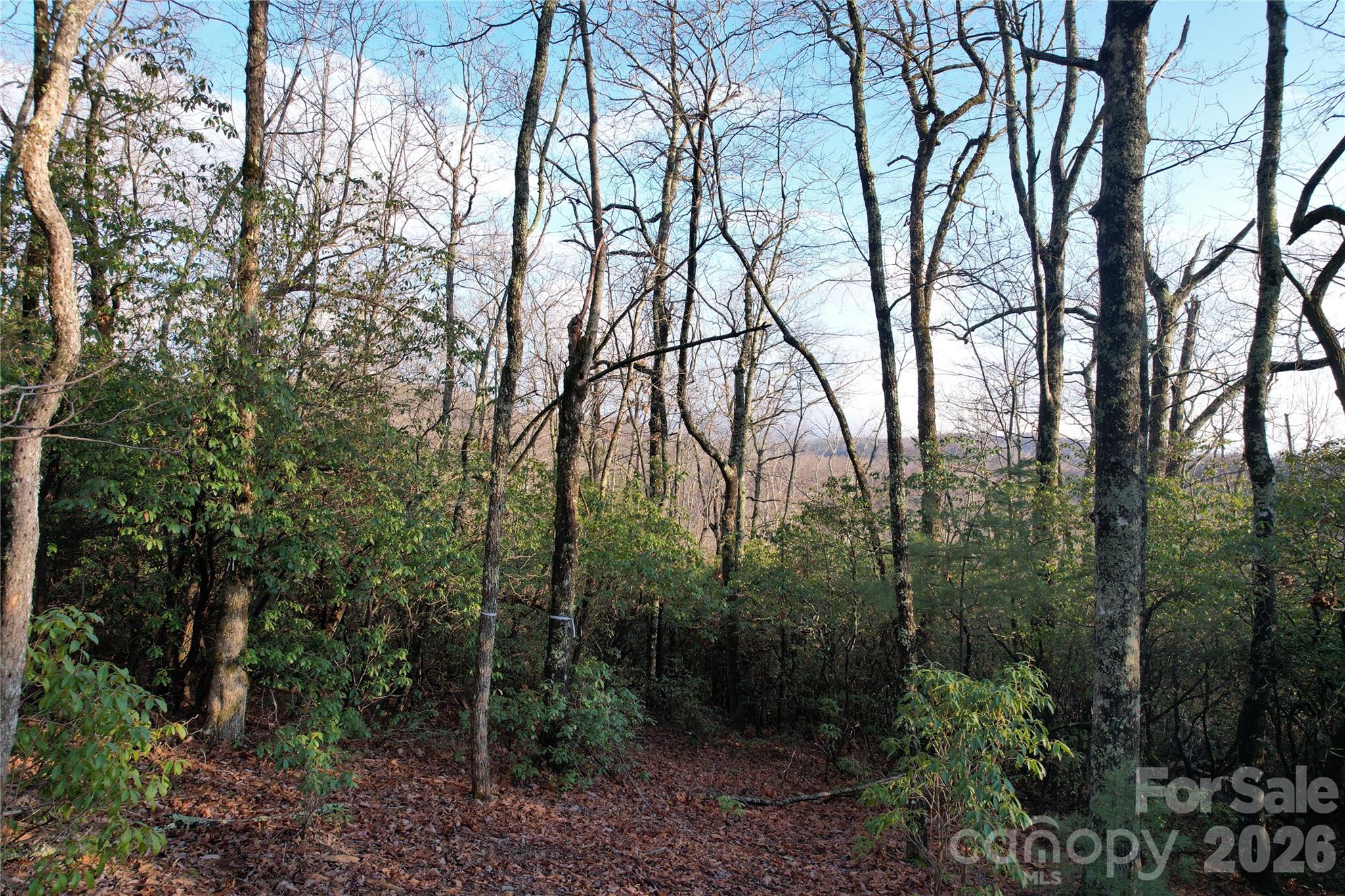 Tbd Laurel Thicket Lane Brevard NC 28712