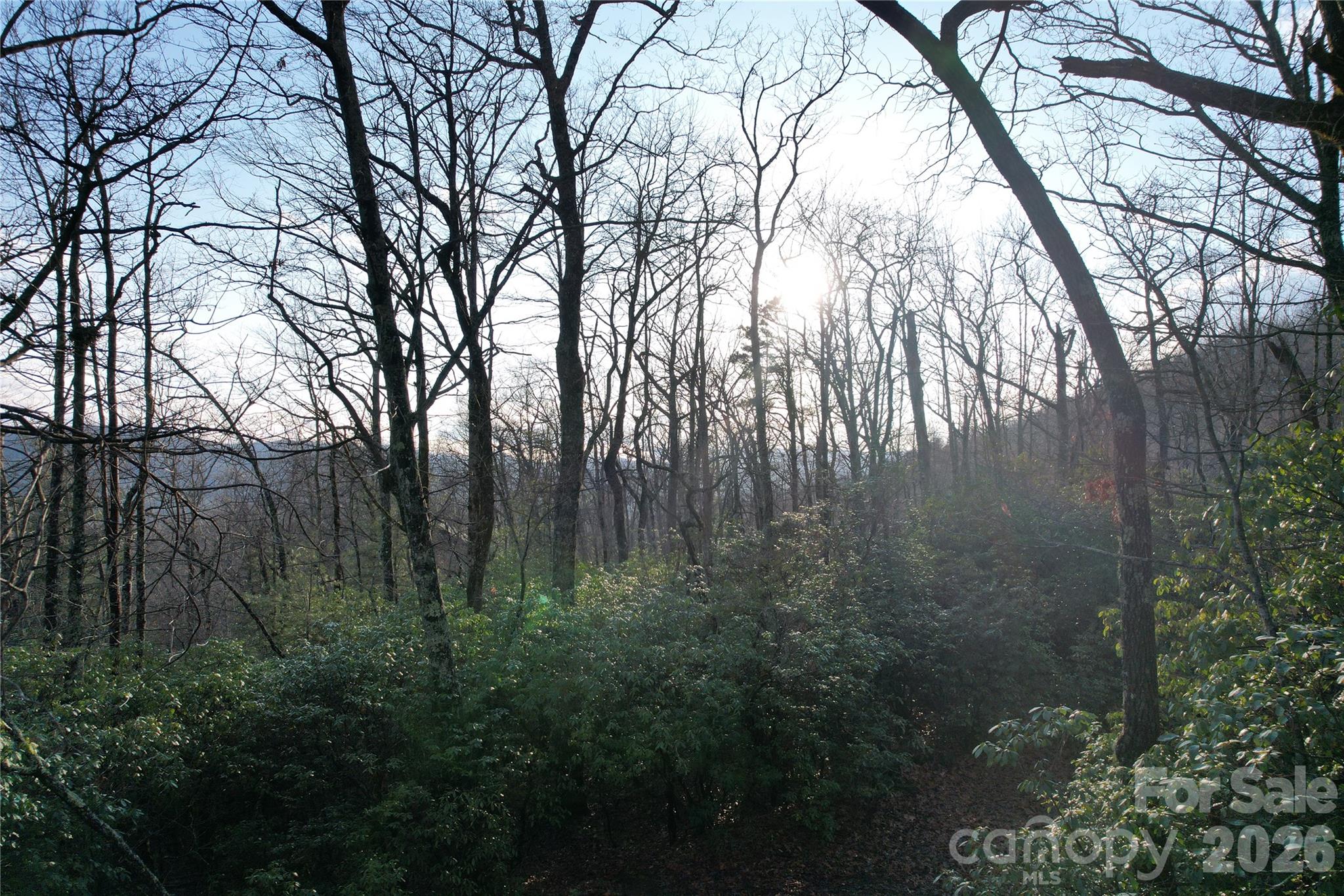 Tbd Laurel Thicket Lane Brevard NC 28712