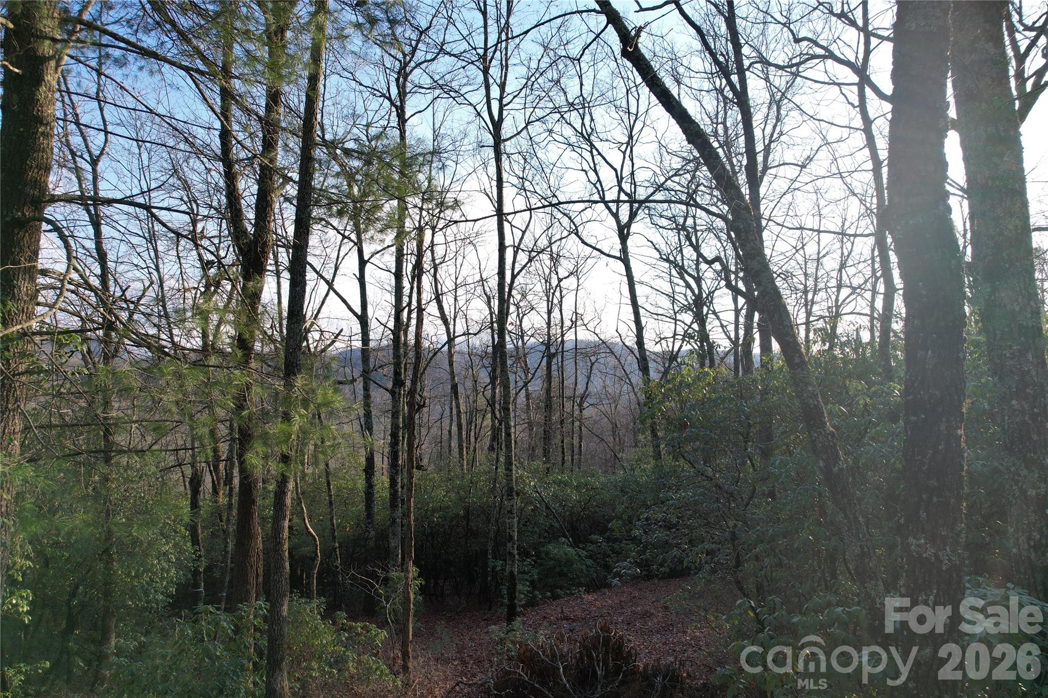 Tbd Laurel Thicket Lane Brevard NC 28712