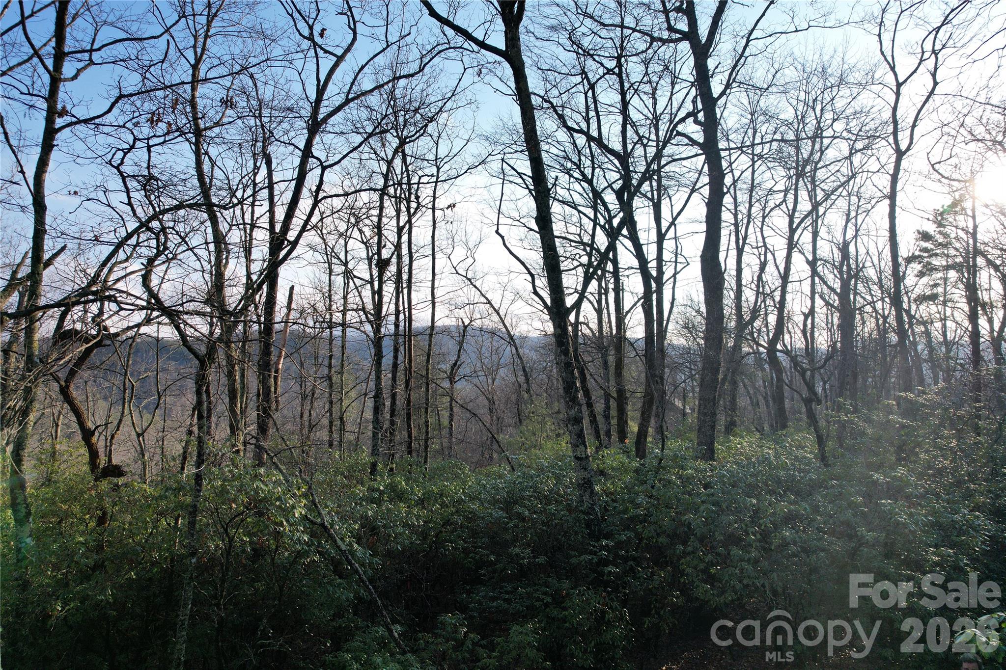 Tbd Laurel Thicket Lane Brevard NC 28712