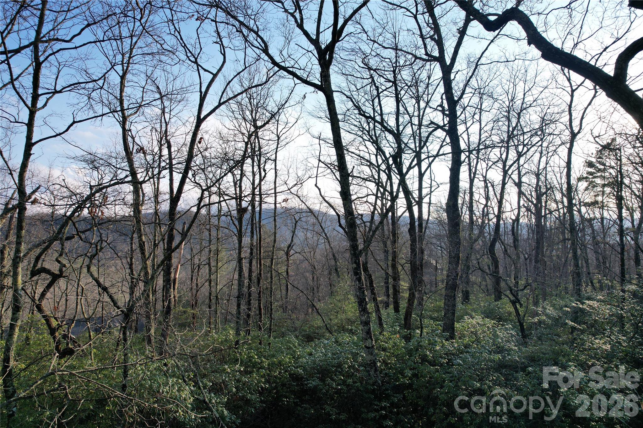 Tbd Laurel Thicket Lane Brevard NC 28712