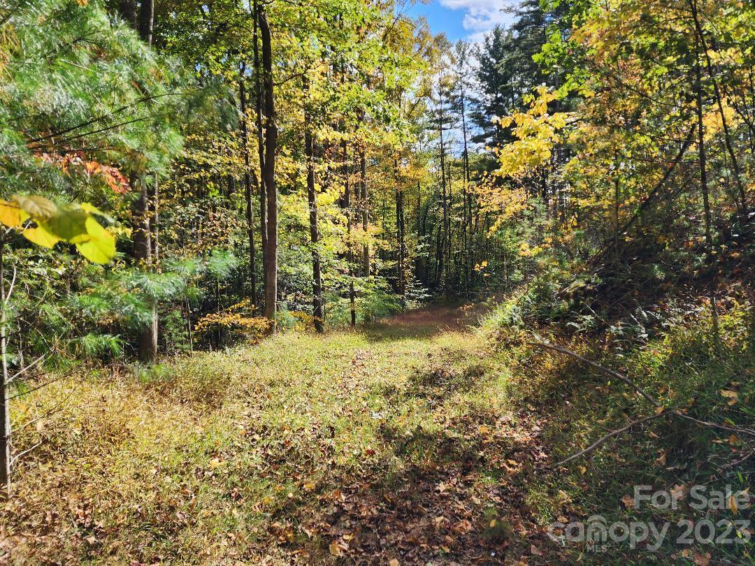 00 Thorncrest Drive Burnsville NC 28714