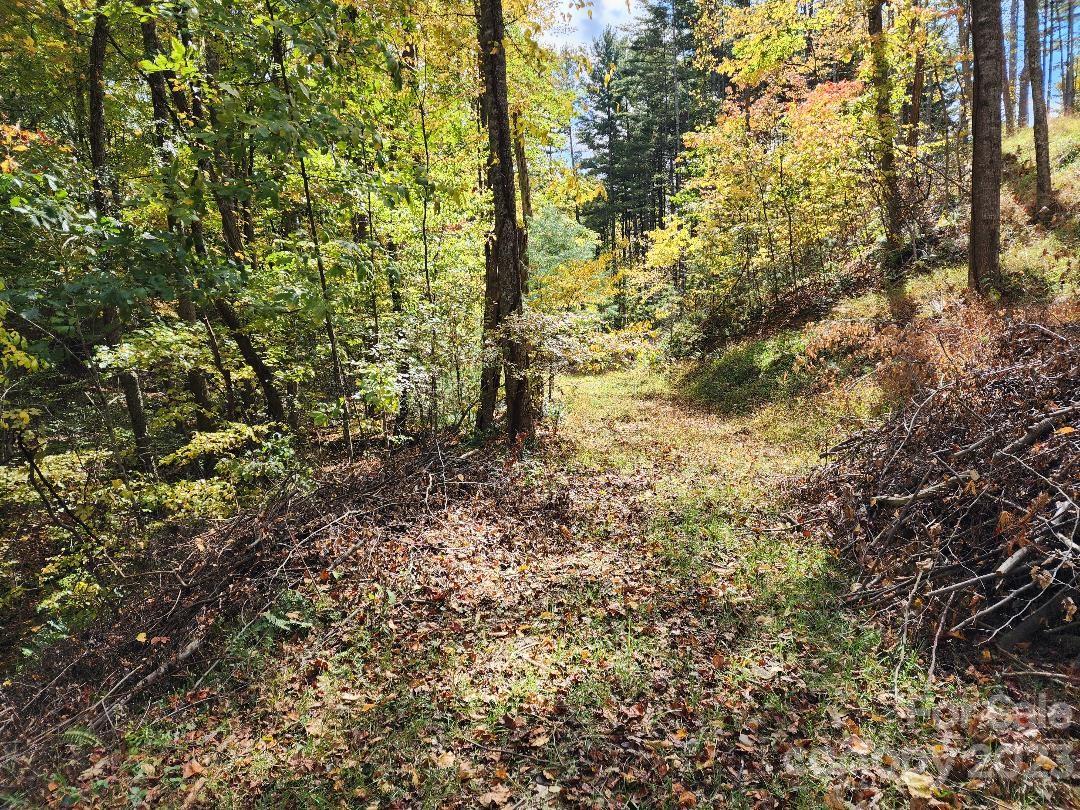 00 Thorncrest Drive Burnsville NC 28714