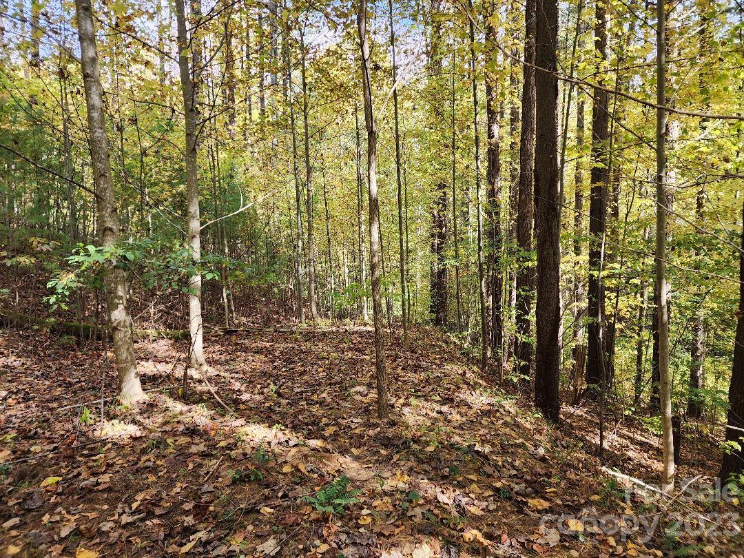 00 Thorncrest Drive Burnsville NC 28714
