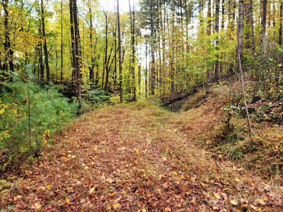 00 Thorncrest Drive Burnsville NC 28714