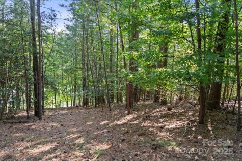 9178 Fair Oak Drive Sherrills Ford NC 28673