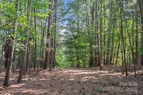 9178 Fair Oak Drive Sherrills Ford NC 28673