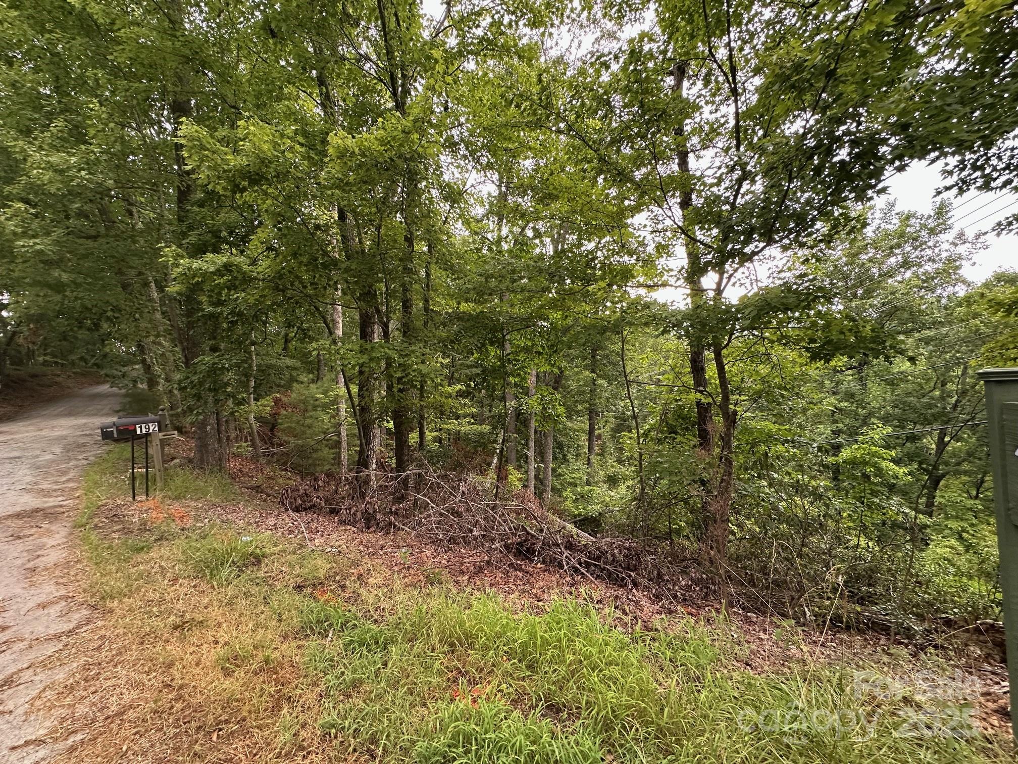 0 Buzzards Place Lake Lure NC 28746